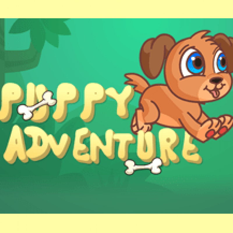 Puppy Adventure
