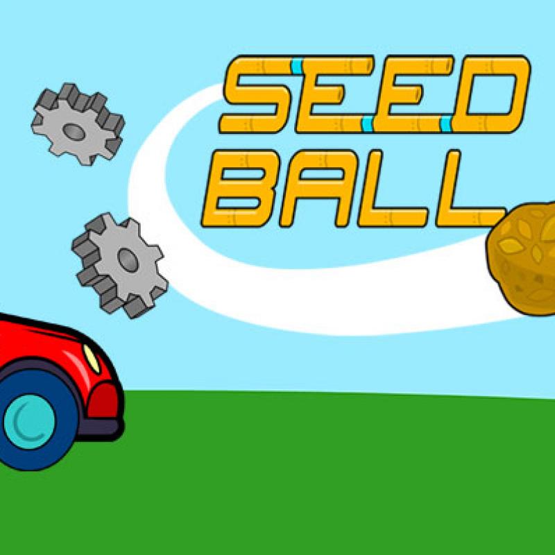 Seed Ball